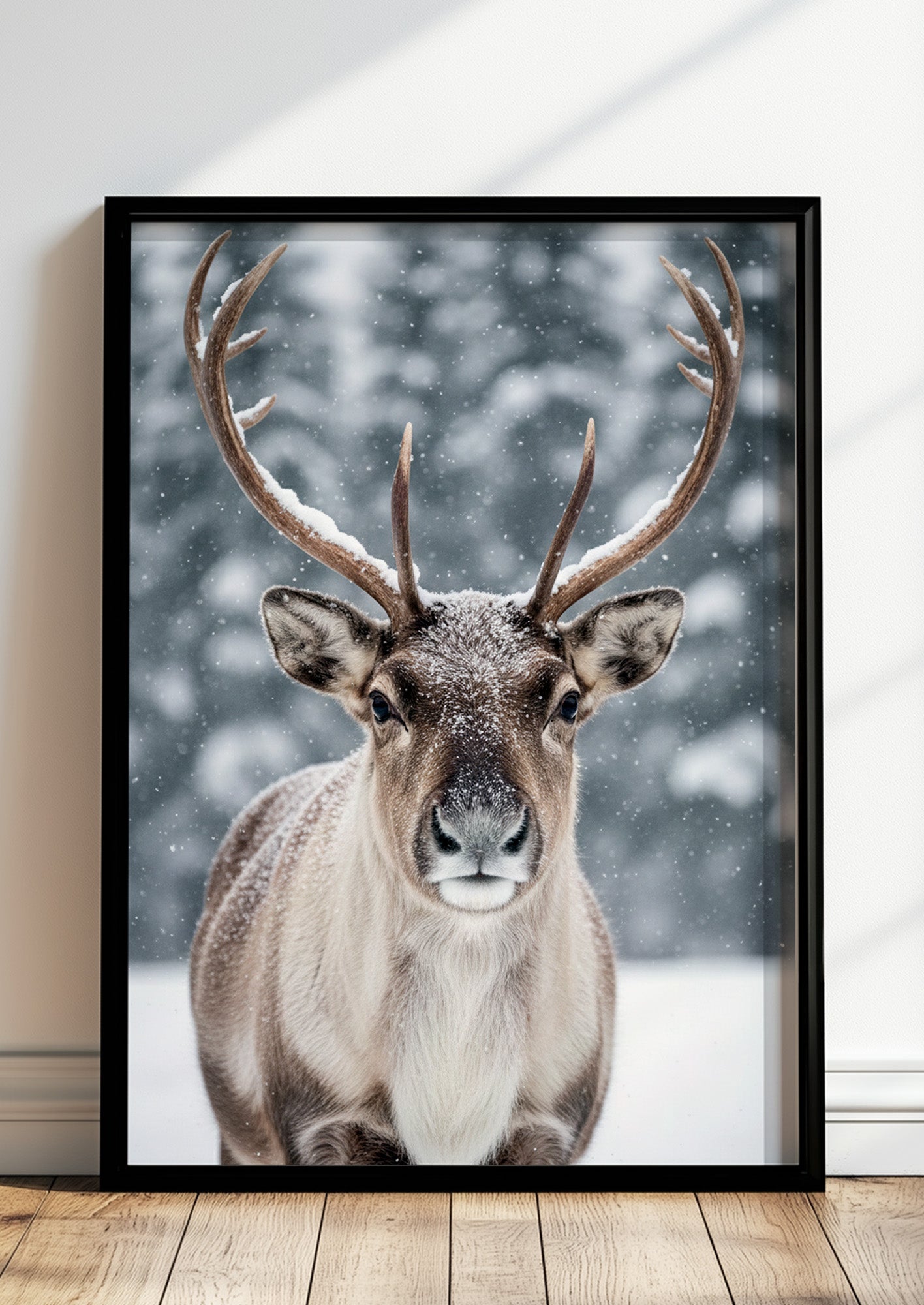 Poster Rentier im Schnee Nahaufnahme im schwarzen Rahmen stehend