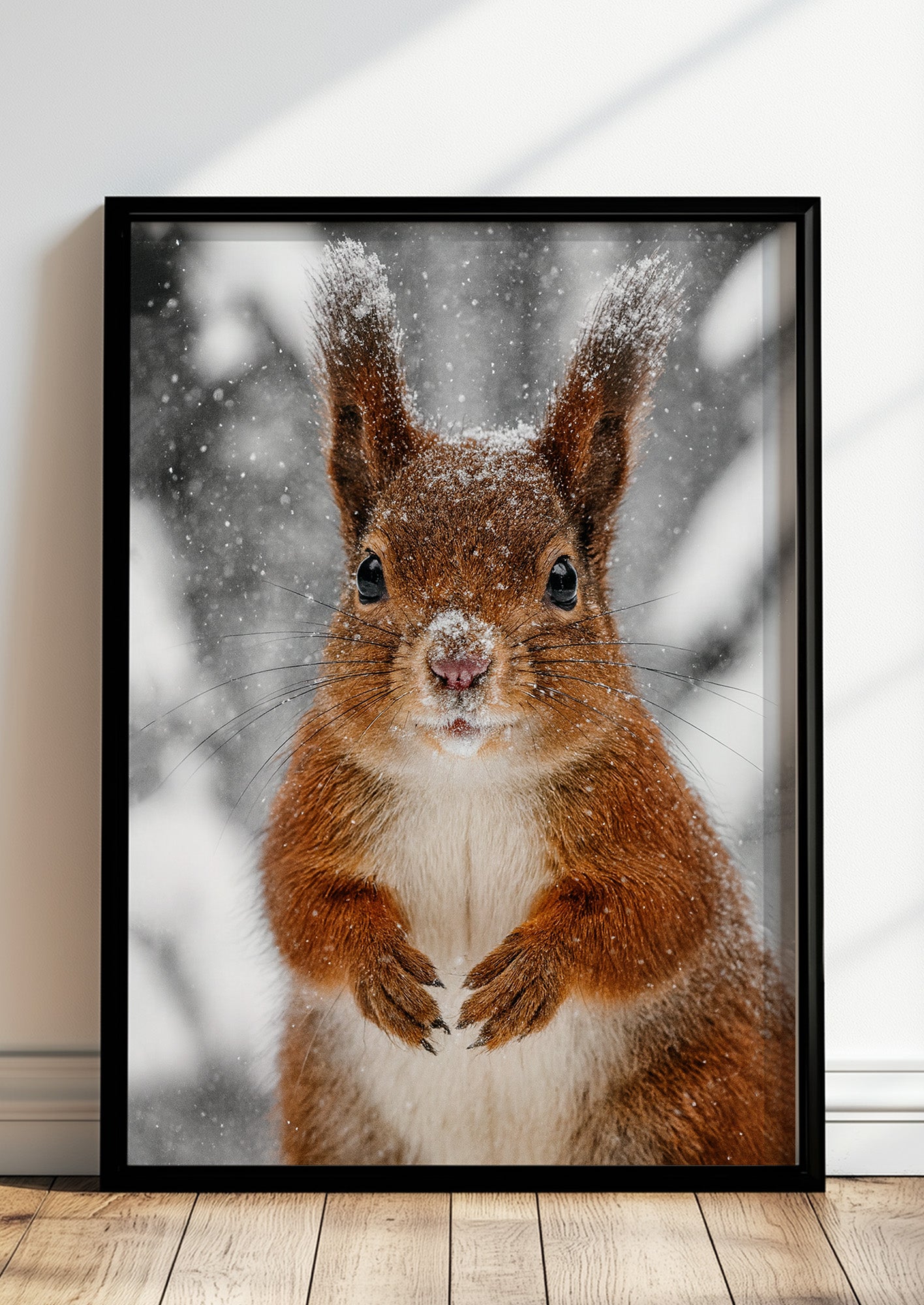 Poster Eichhörnchen im Schnee Nahaufnahme im schwarzen Rahmen stehend