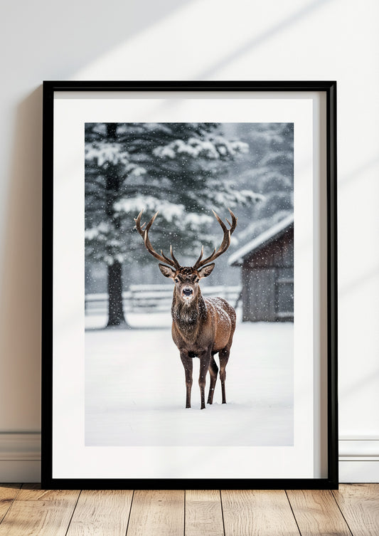 Poster Hirsch im Schnee im schwarzen Rahmen stehend