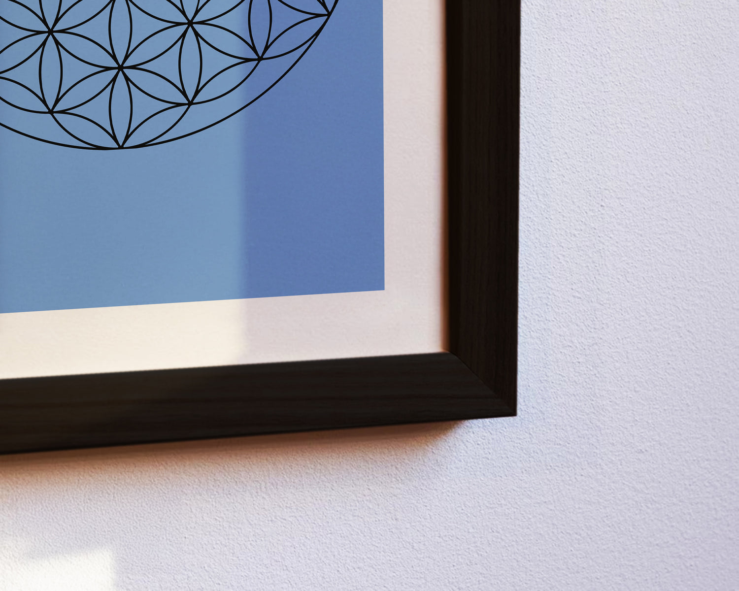 Nahaufnahme von Lebensblume Poster in schwarzem Rahmen