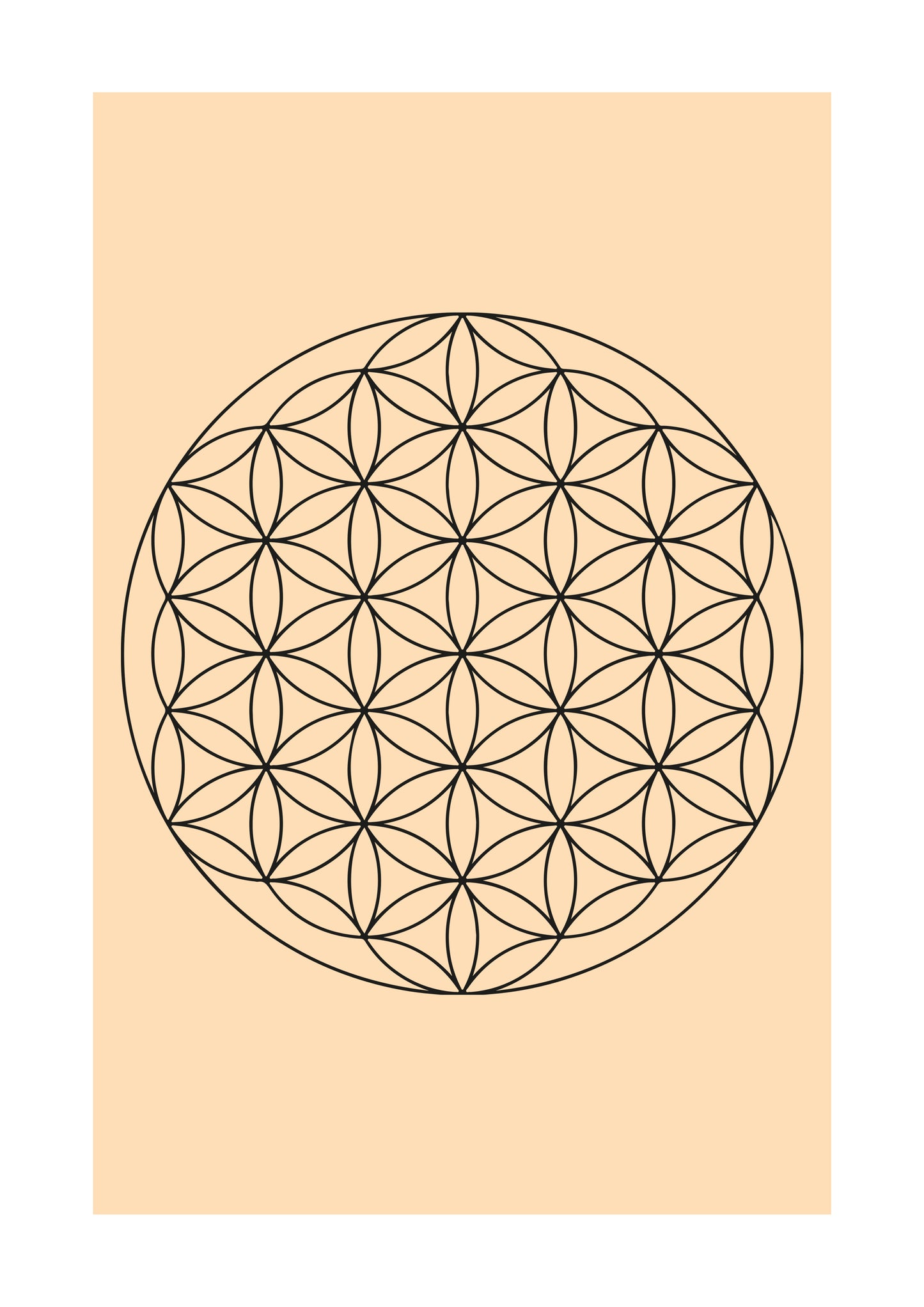 Lebensblume mit individuellem Hintergrund - Personalisiert