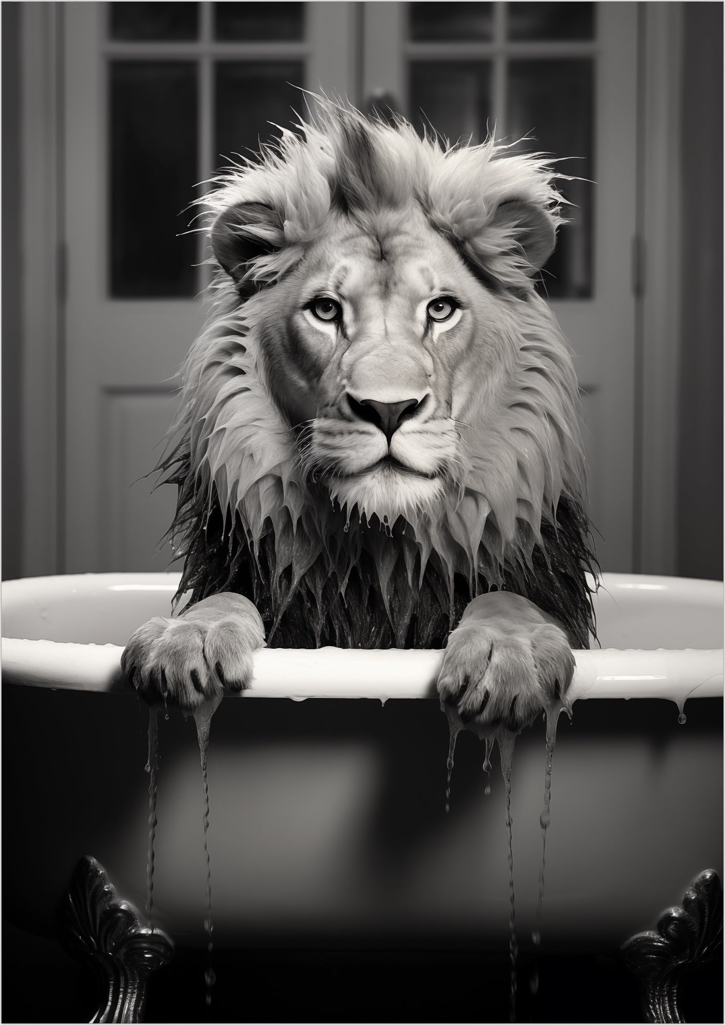 ein imposanter löwe sitzt tropfend nass in einer badewanne und blickt direkt in die kamera der hintergrund zeigt helle türen ohne rahmen
