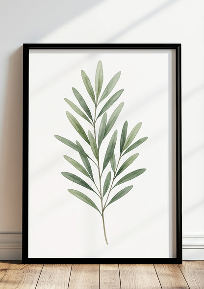 Olivenzweig Aquarell Bild gerahmt an Wohnzimmerwand