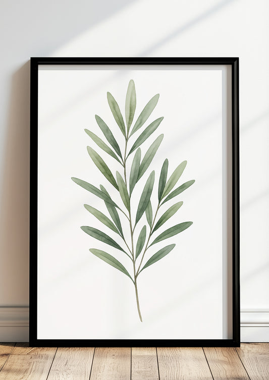 Olivenzweig Aquarell Bild gerahmt an Wohnzimmerwand