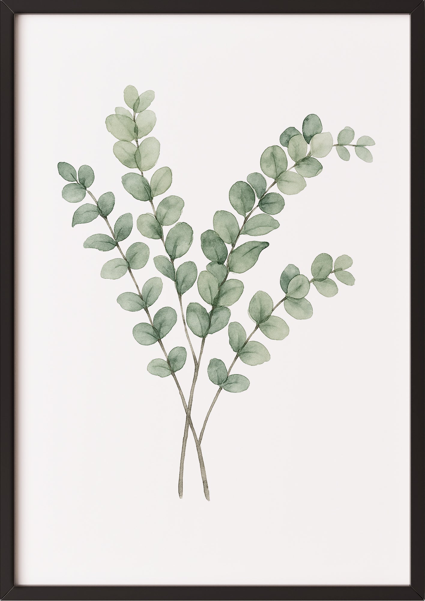 Eukalyptus Aquarell Poster im schwarzen Rahmen