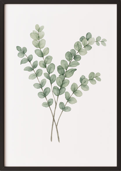 Eukalyptus Aquarell Poster im schwarzen Rahmen