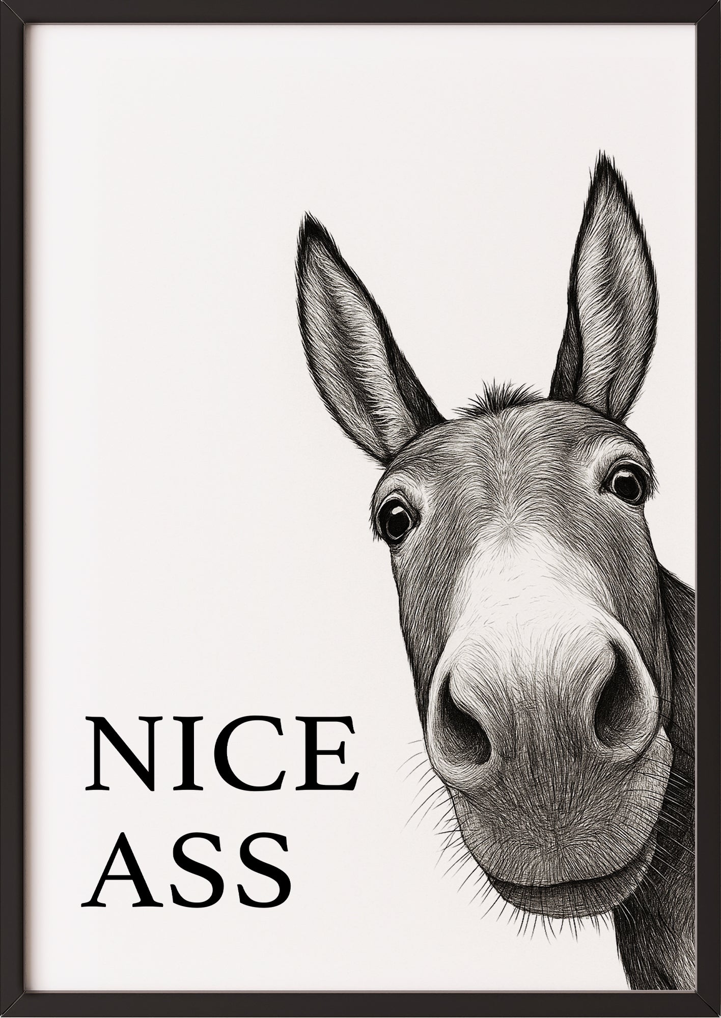 Nice Ass Poster mit Esel im schwarzen Rahmen