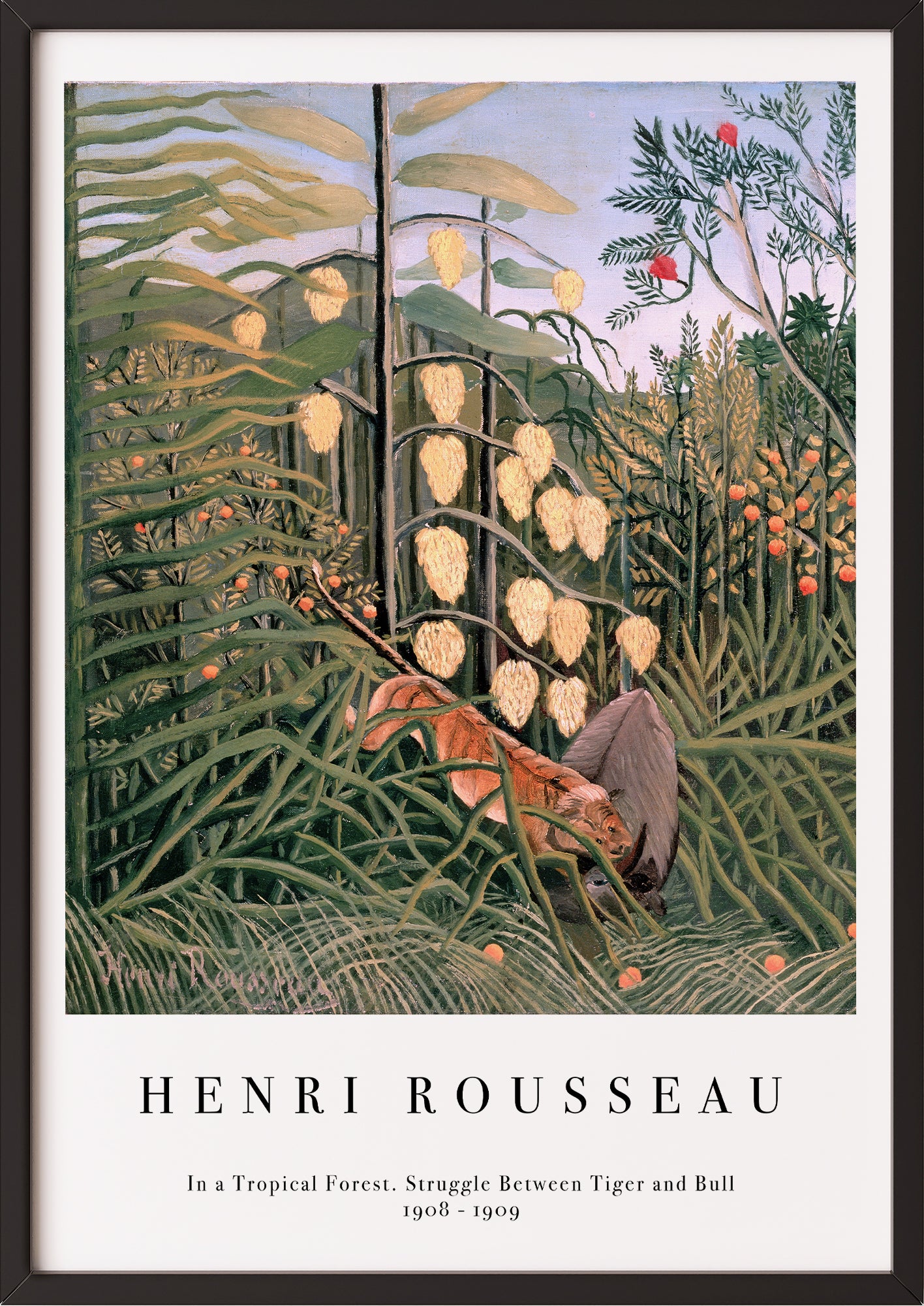Frau hängt In a Tropical Forest. Struggle Between Tiger and Bull von Henri Rousseau als Poster in schwarzem Rahmen an die Wand