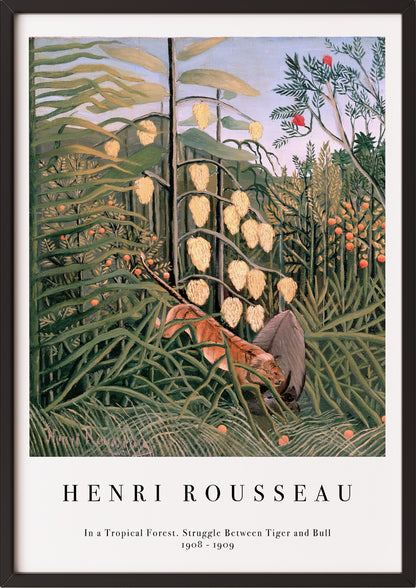 Frau hängt In a Tropical Forest. Struggle Between Tiger and Bull von Henri Rousseau als Poster in schwarzem Rahmen an die Wand
