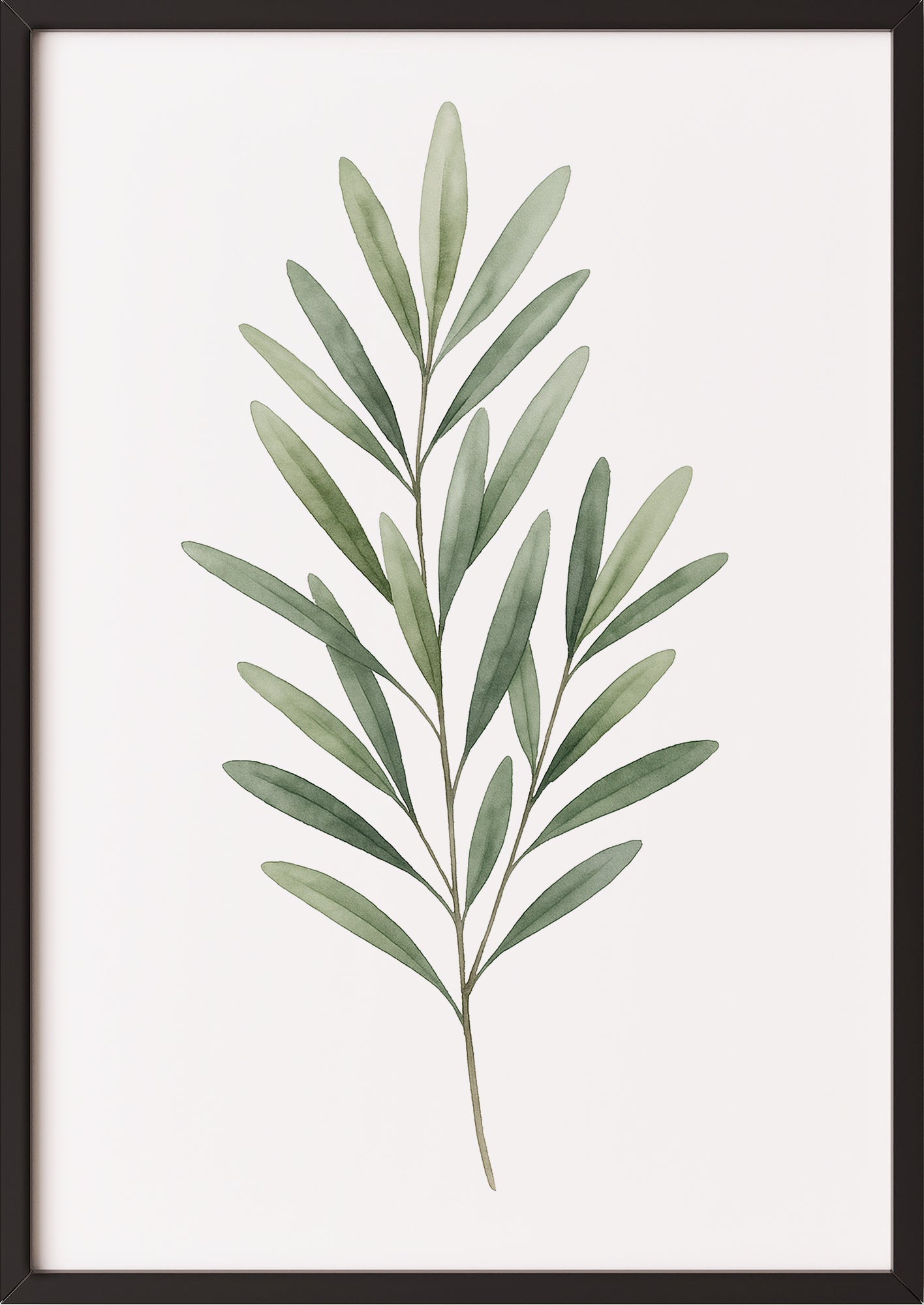 Olivenzweig Aquarell Poster im schwarzen Rahmen