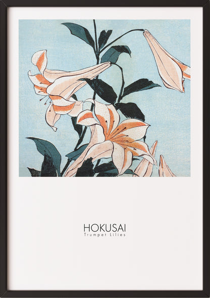 Frau hängt Trumpet Lilies von Hokusai als Poster in schwarzem Rahmen an die Wand