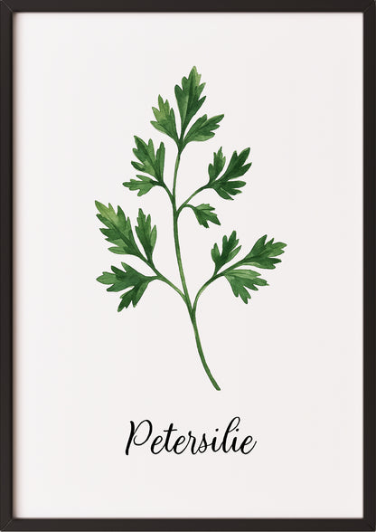 Petersilienposter im schwarzen Rahmen an einer weißen Wand