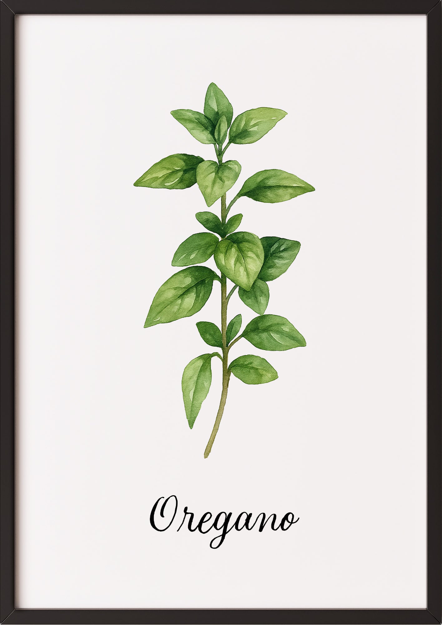 Oreganoposter im schwarzen Rahmen an einer hellen Wand