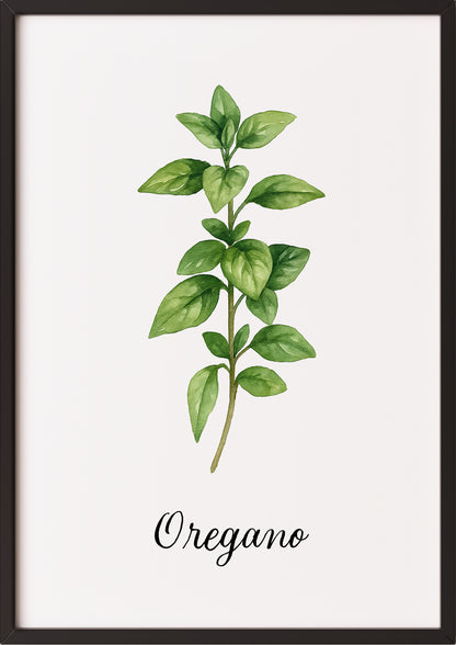 Oreganoposter im schwarzen Rahmen an einer hellen Wand