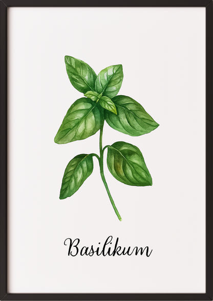 Basilikumposter im schwarzen Rahmen an einer hellen Wand