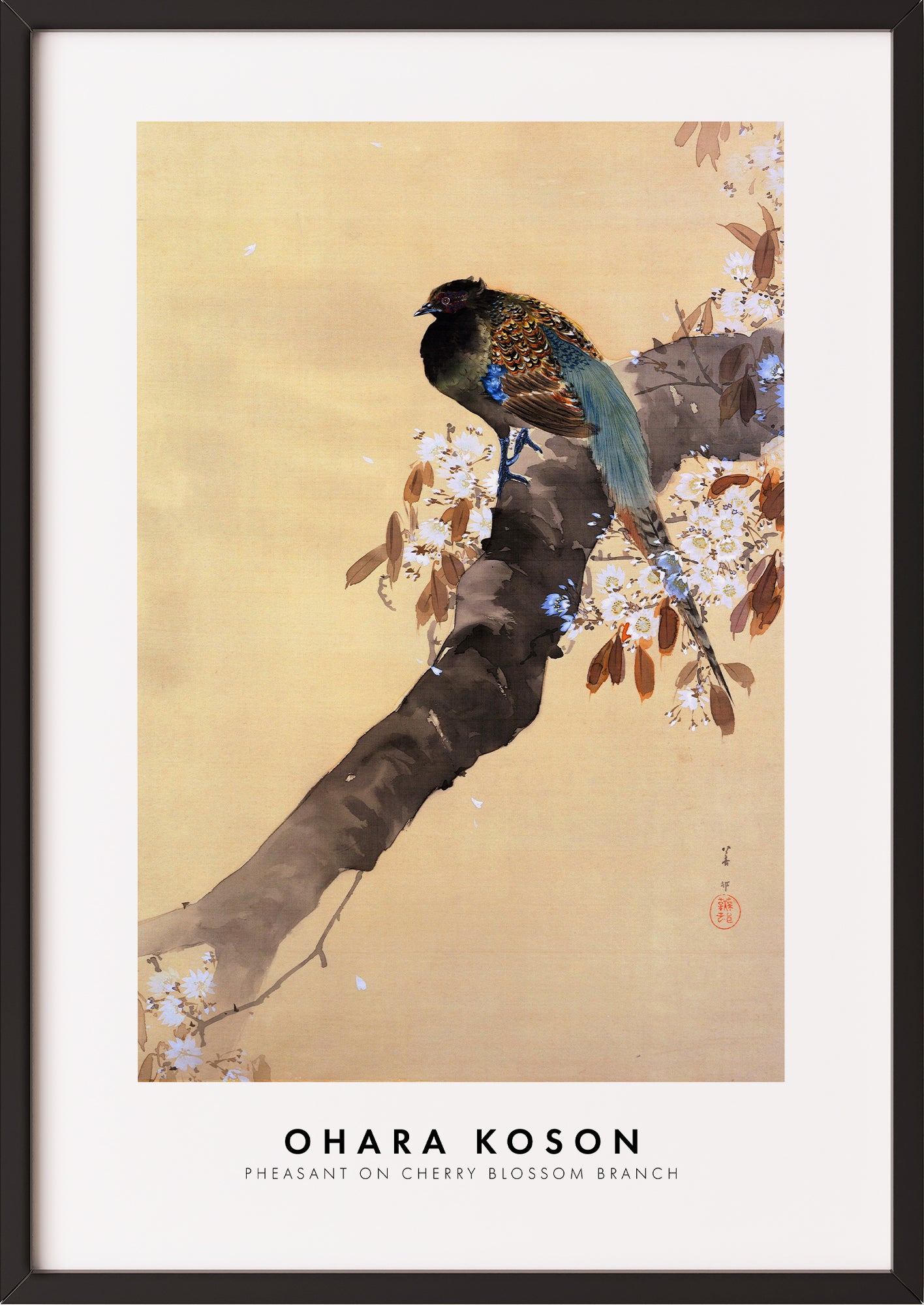 Frau hängt Pheasant on Cherry Blossom Branch von Ohara Koson als Poster in schwarzem Rahmen an die Wand