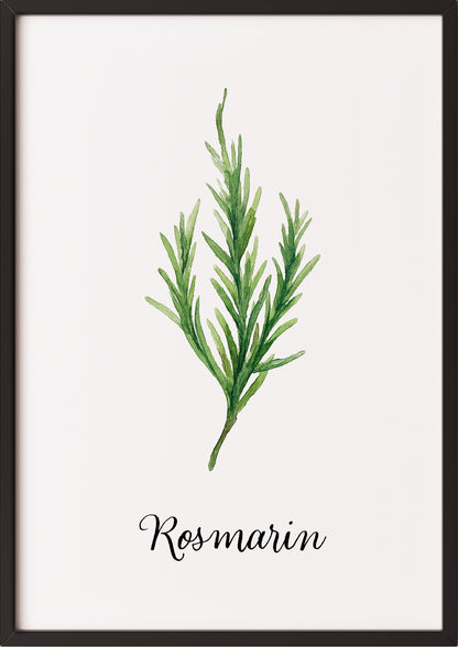 Rosmarin-Kräuterposter mit schwarzem Rahmen, angelehnt an eine helle Wand