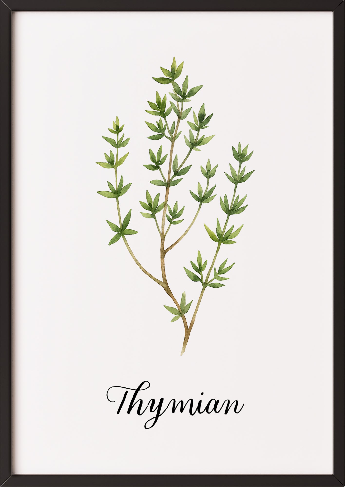 Botanisches Thymianposter mit schwarzem Rahmen, angelehnt an helle Wand
