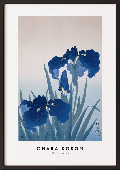 Frau hängt Iris Flowers von Ohara Koson als Poster in schwarzem Rahmen an die Wand