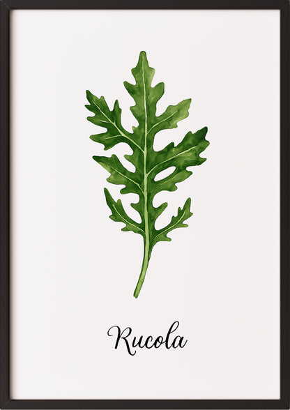 Botanisches Rucolaposter im schwarzen Rahmen, angelehnt an Küchenwand