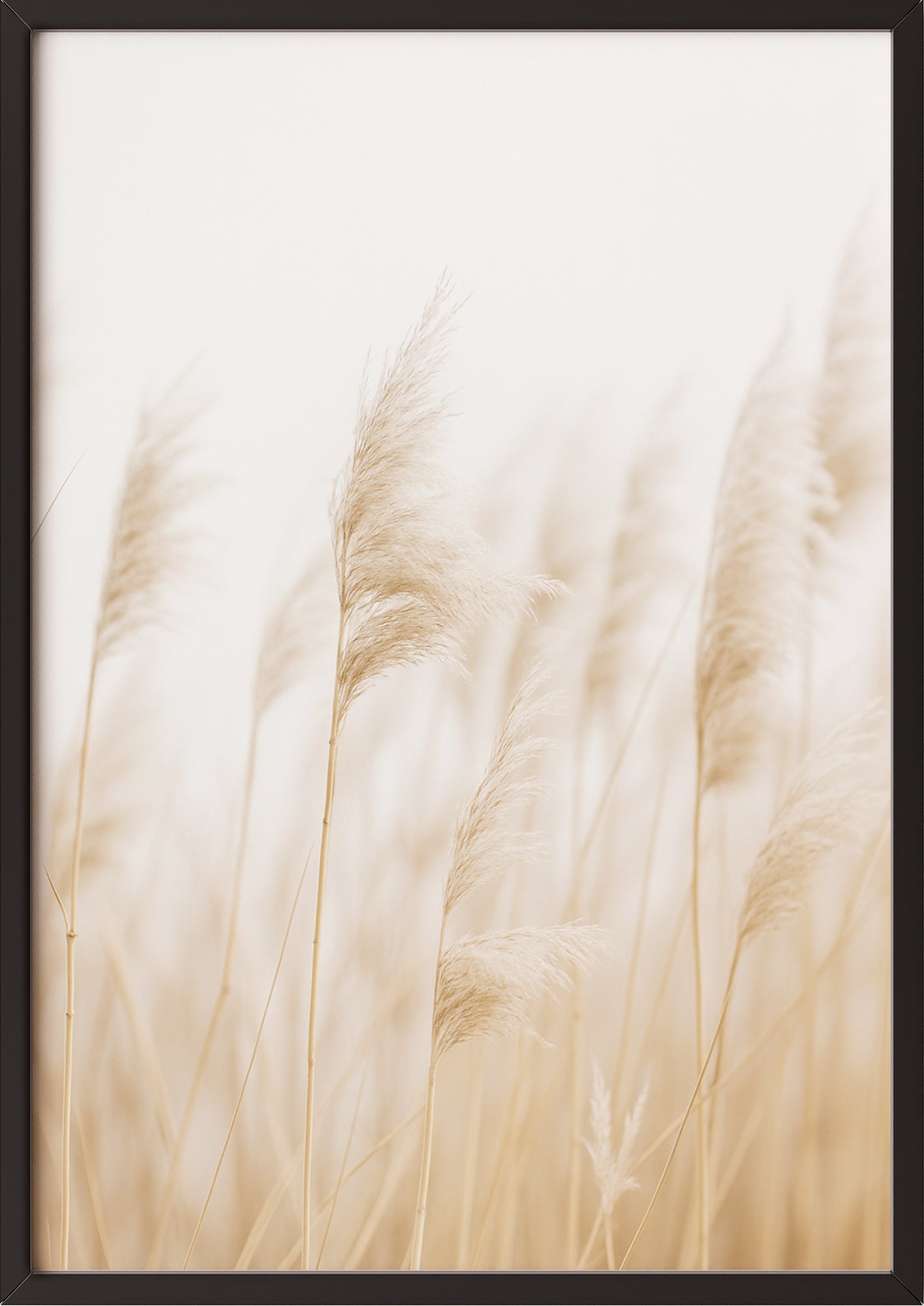 Gerahmtes Pampasgras-Poster, angelehnt an Wand mit natürlicher Textur