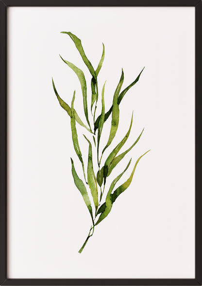 Poster mit grünem Aquarellzweig im schwarzen Rahmen vor hellem Untergrund