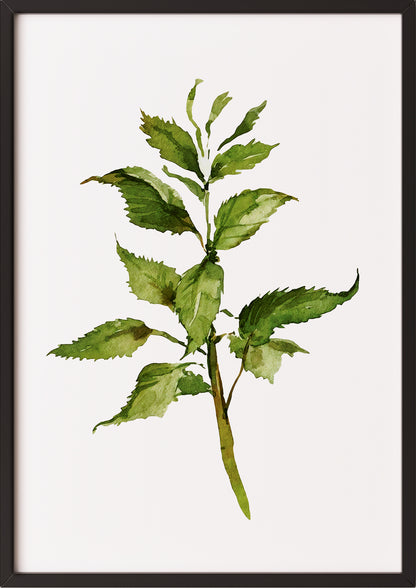 Poster mit Aquarellzweig im schwarzen Rahmen vor neutralem Untergrund