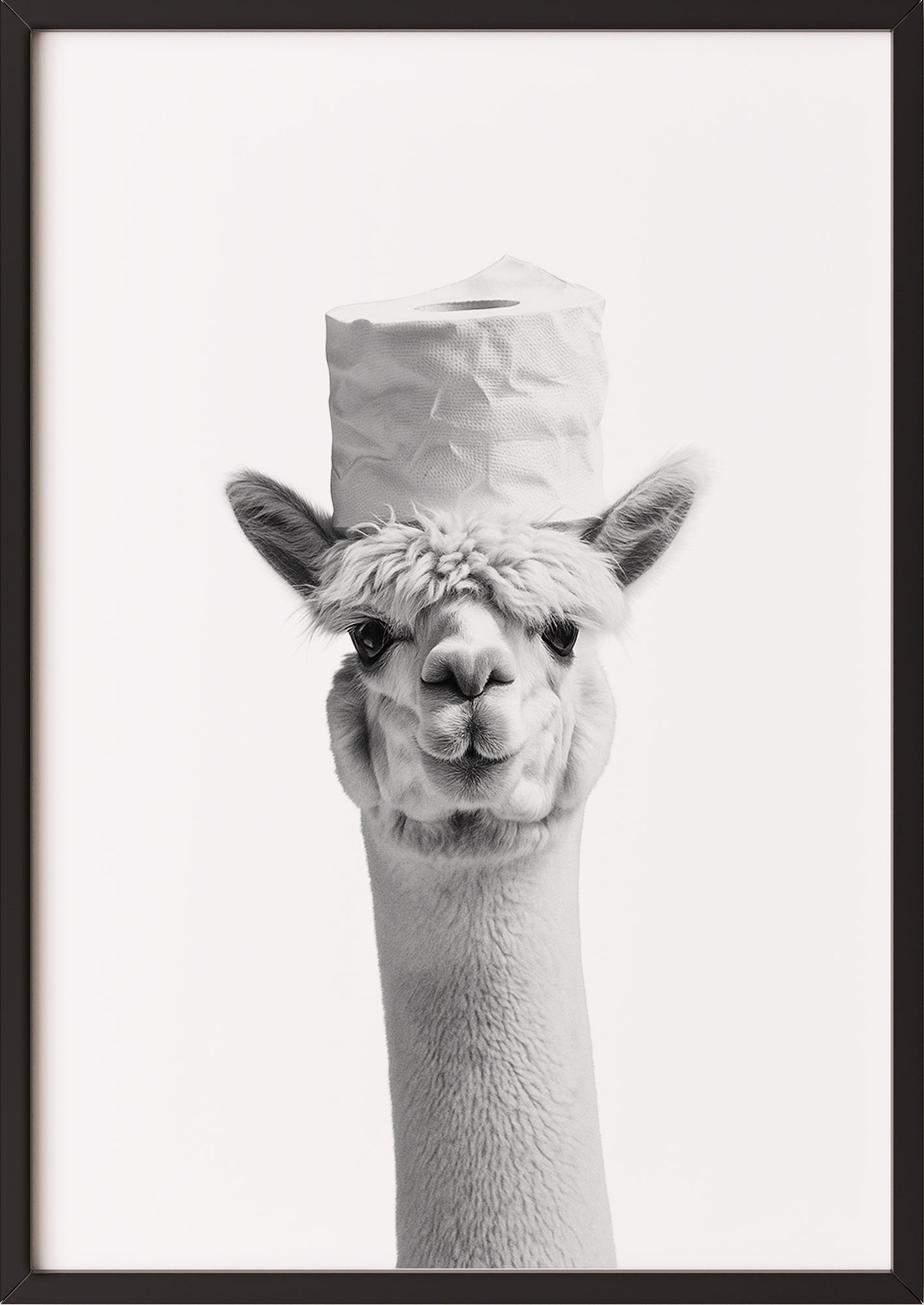 Alpaka Poster mit Klopapier im schwarzen Rahmen