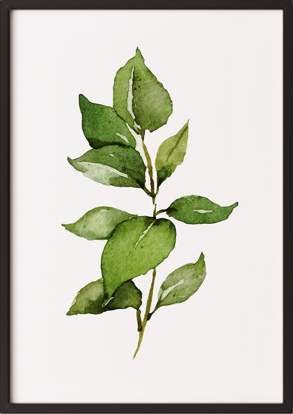 Poster mit Aquarellzweig im schwarzen Rahmen vor neutralem Untergrund