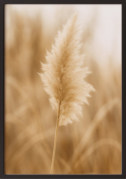 Beruhigendes Naturmotiv mit sanfter Sepiatönung
