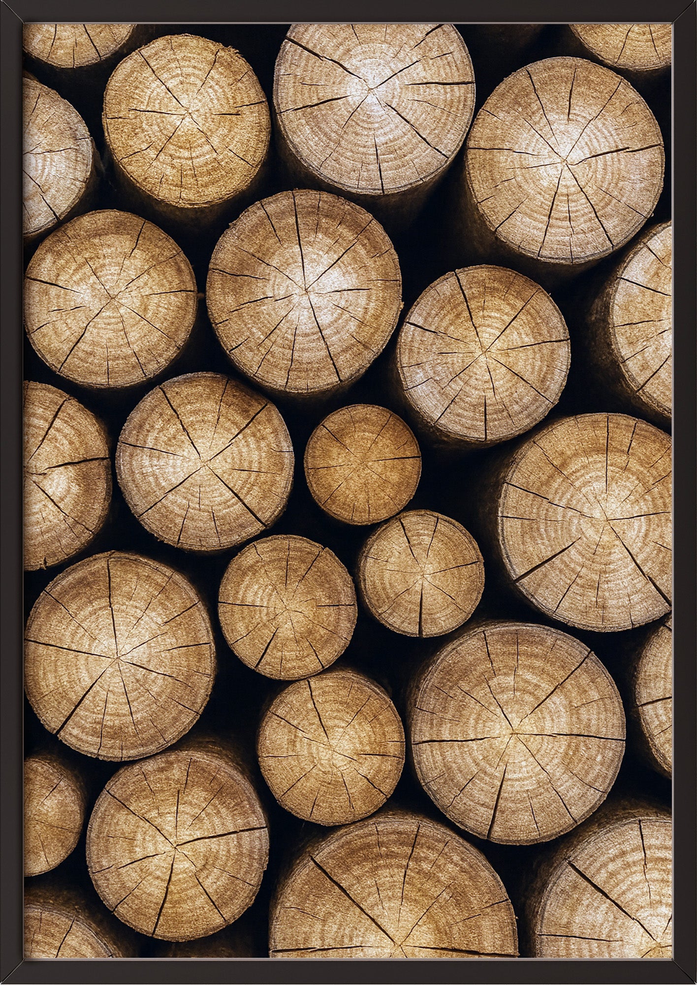 Poster Baumstämme im schwarzen Holzrahmen