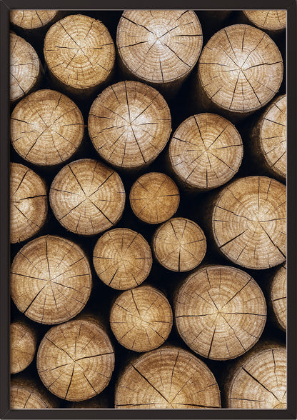 Poster Baumstämme im schwarzen Holzrahmen