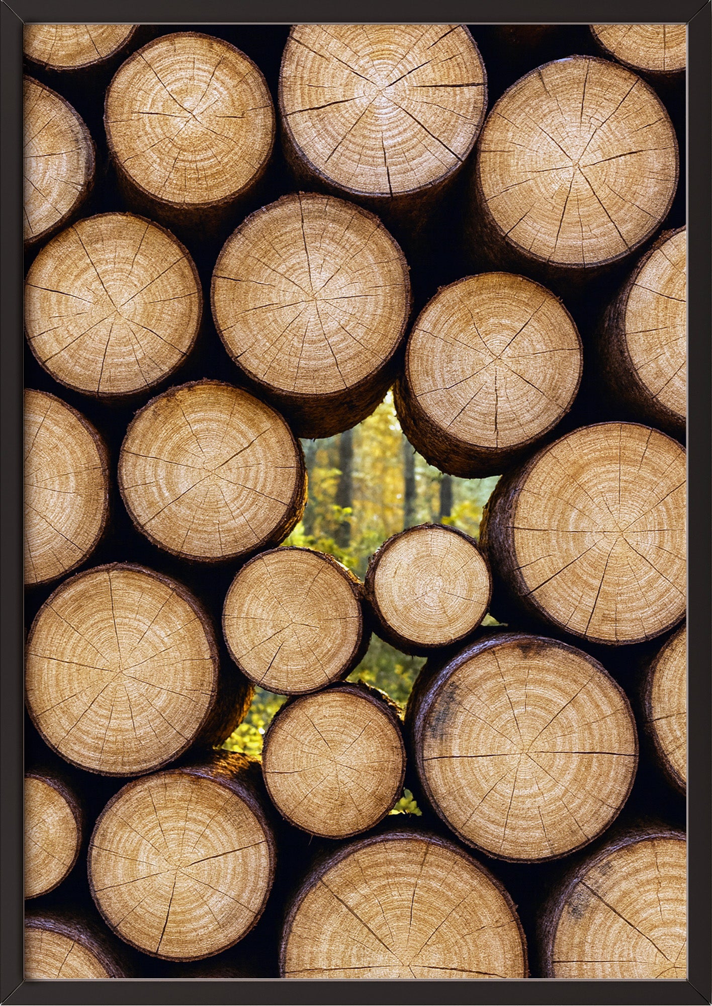 Poster Baumstämme im Herbst im schwarzen Holzrahmen