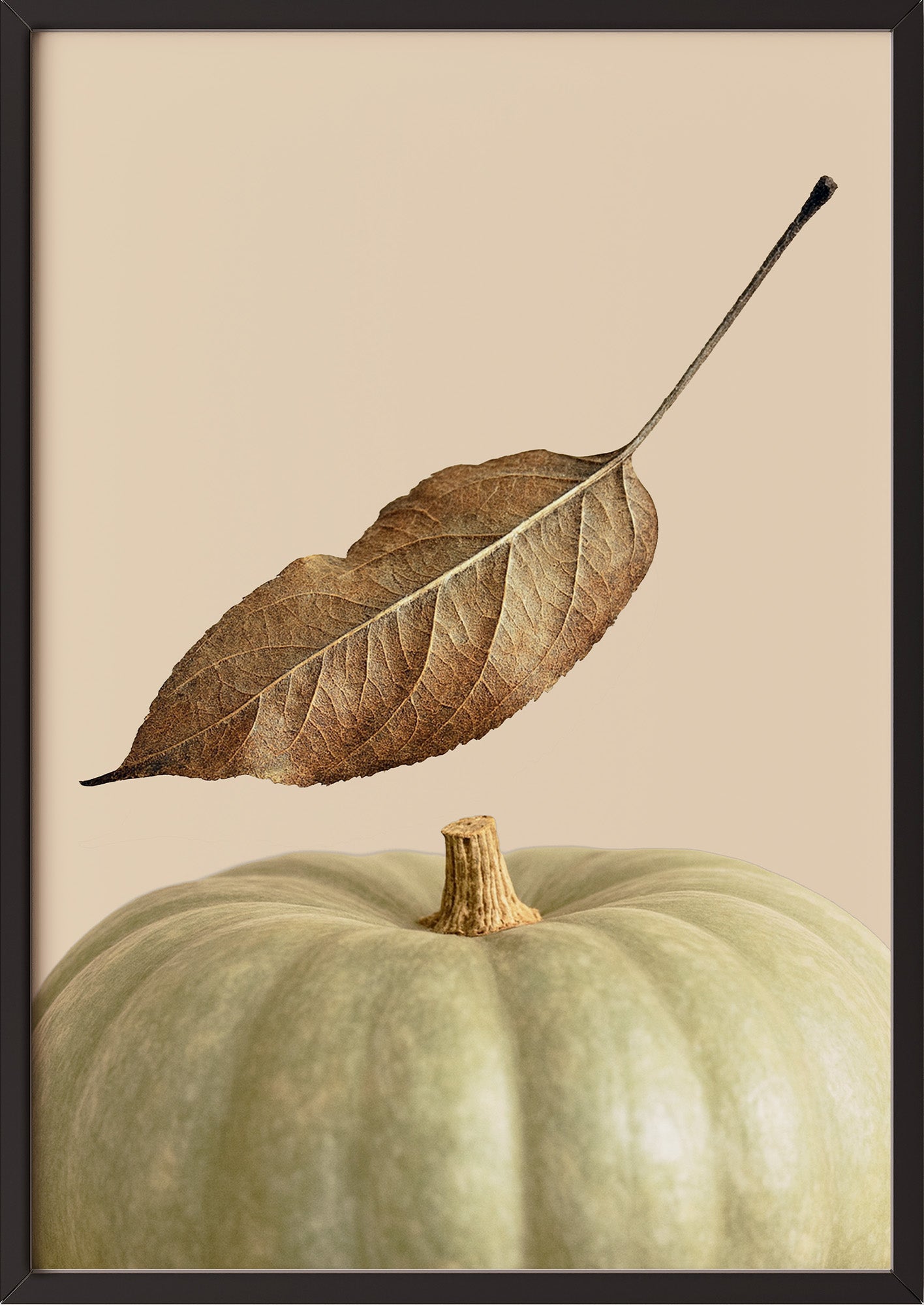 Poster Kürbis mit Blatt im schwarzen Holzrahmen