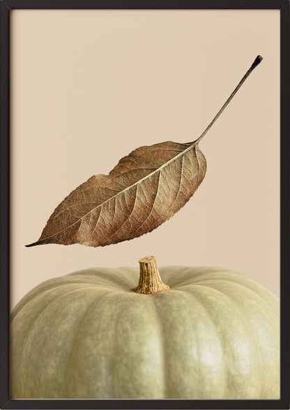 Poster Kürbis mit Blatt im schwarzen Holzrahmen