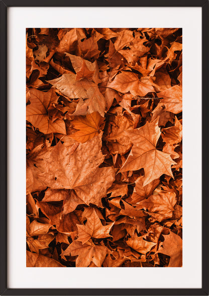 Poster Herbstblätter im schwarzen Holzrahmen