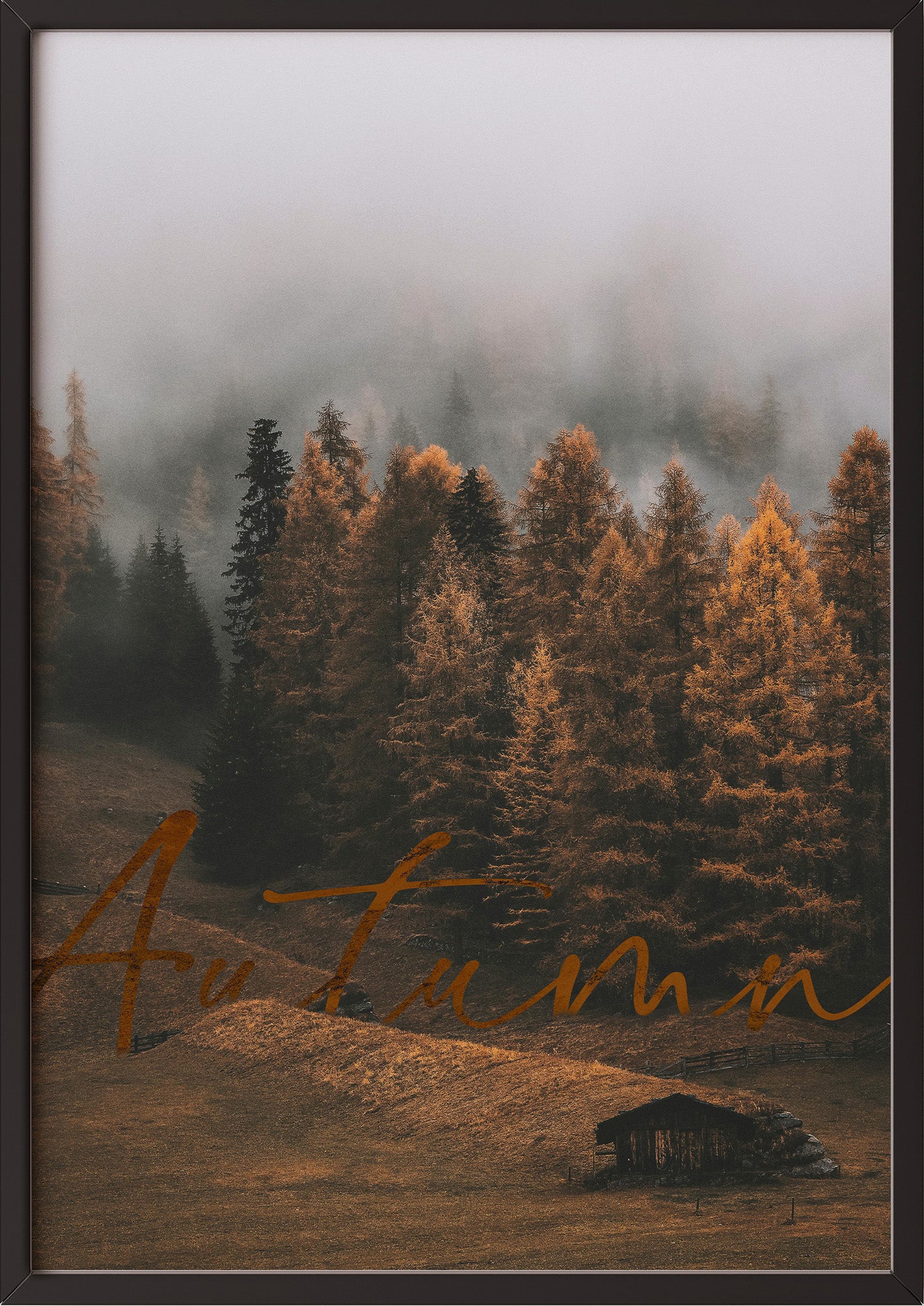 Poster Autumn Forest im schwarzen Holzrahmen