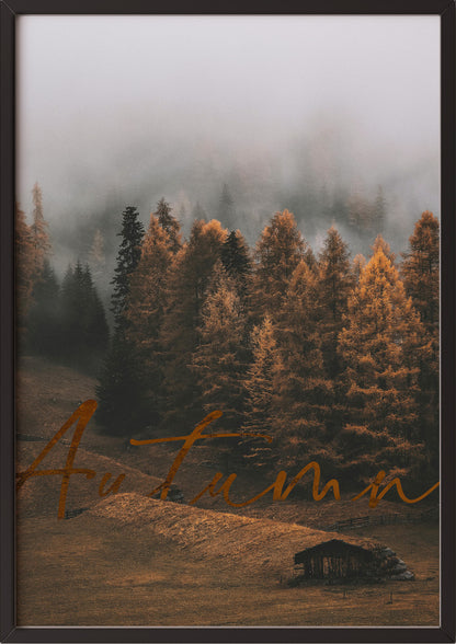 Poster Autumn Forest im schwarzen Holzrahmen
