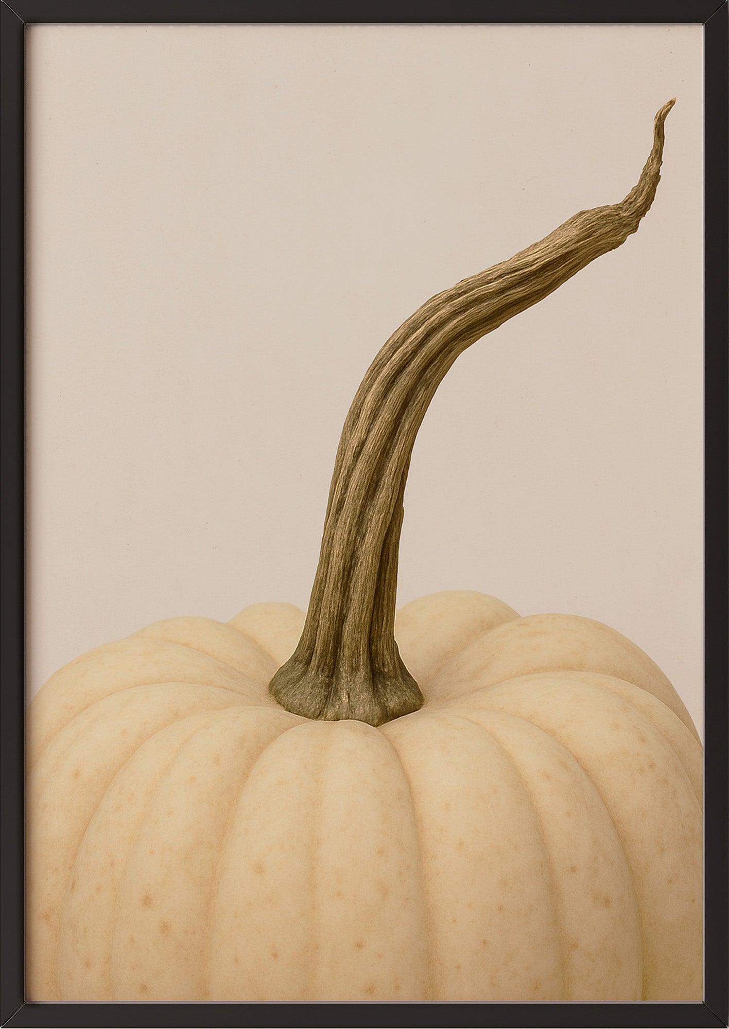 Poster Weißer Kürbis im schwarzen Holzrahmen