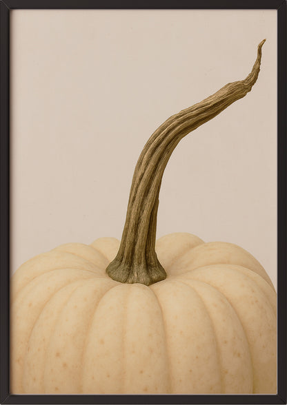 Poster Weißer Kürbis im schwarzen Holzrahmen