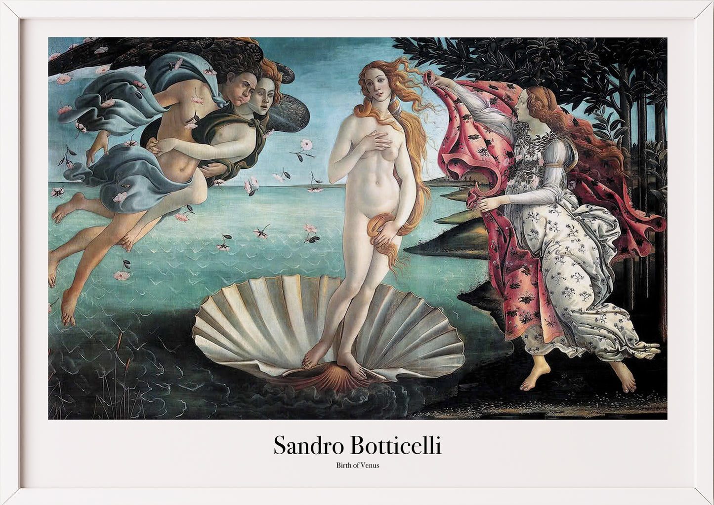 The Birth of Venus von Sandro Botticelli Kunstdruck im weißen Rahmen