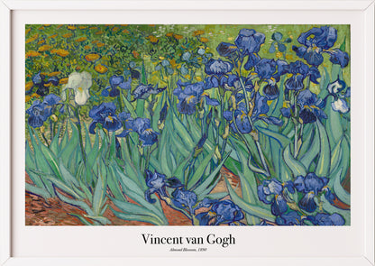 Detailansicht des Posters Vincent van Gogh – Irises