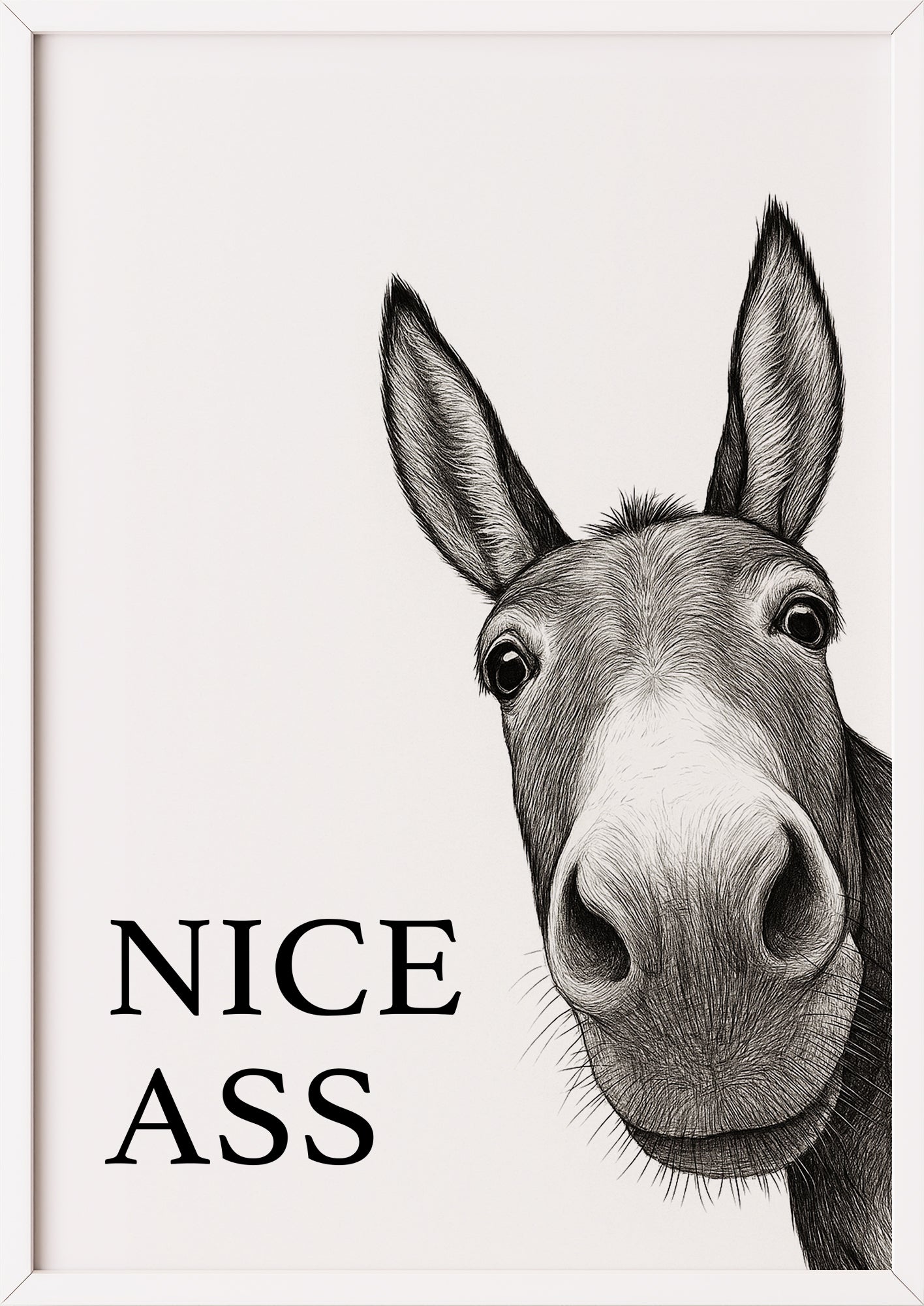 Nice Ass Poster mit Esel im weißen Rahmen