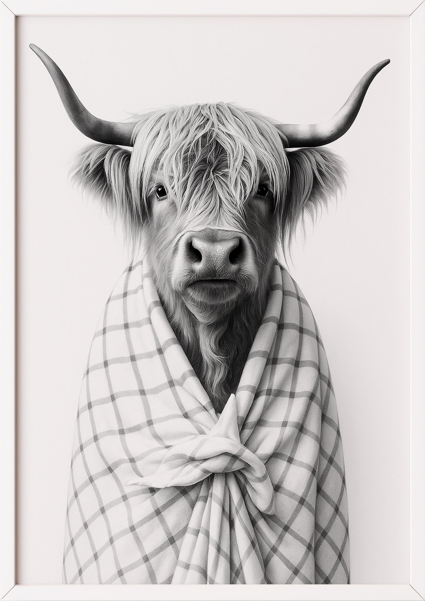 Hochlandrind Illustration gerahmt in weißem Rahmen an der Wand