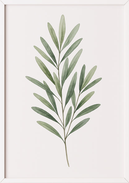 Olivenzweig Aquarell Poster im weißen Rahmen