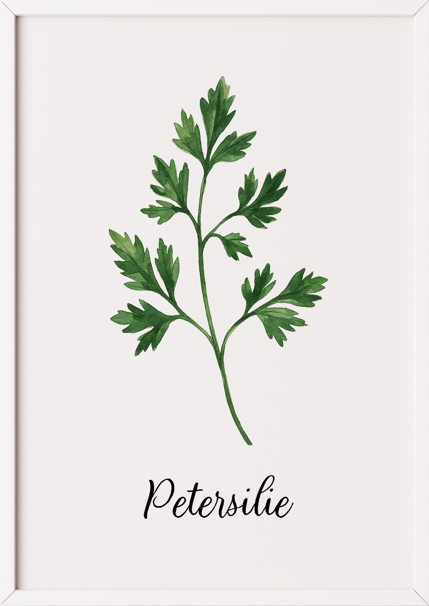 Petersilienposter im weißen Rahmen an einer weißen Wand