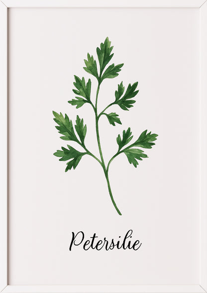 Petersilienposter im weißen Rahmen an einer weißen Wand