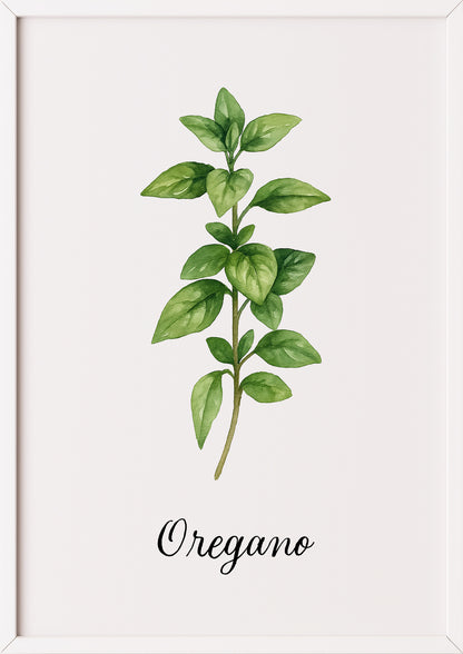 Oreganoposter im weißen Rahmen an einer hellen Wand