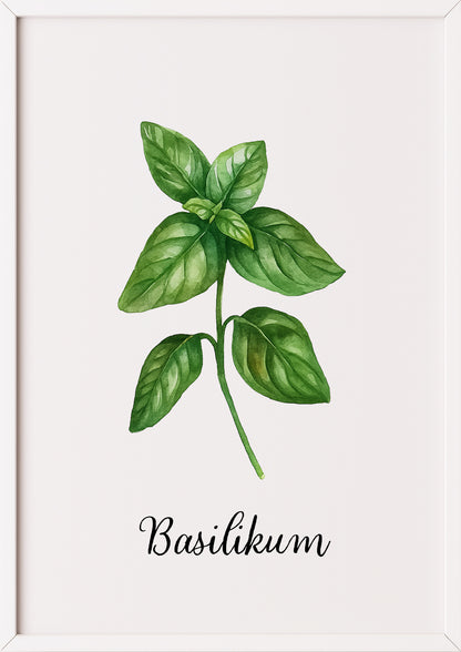 Basilikumposter im weißen Rahmen an einer hellen Wand