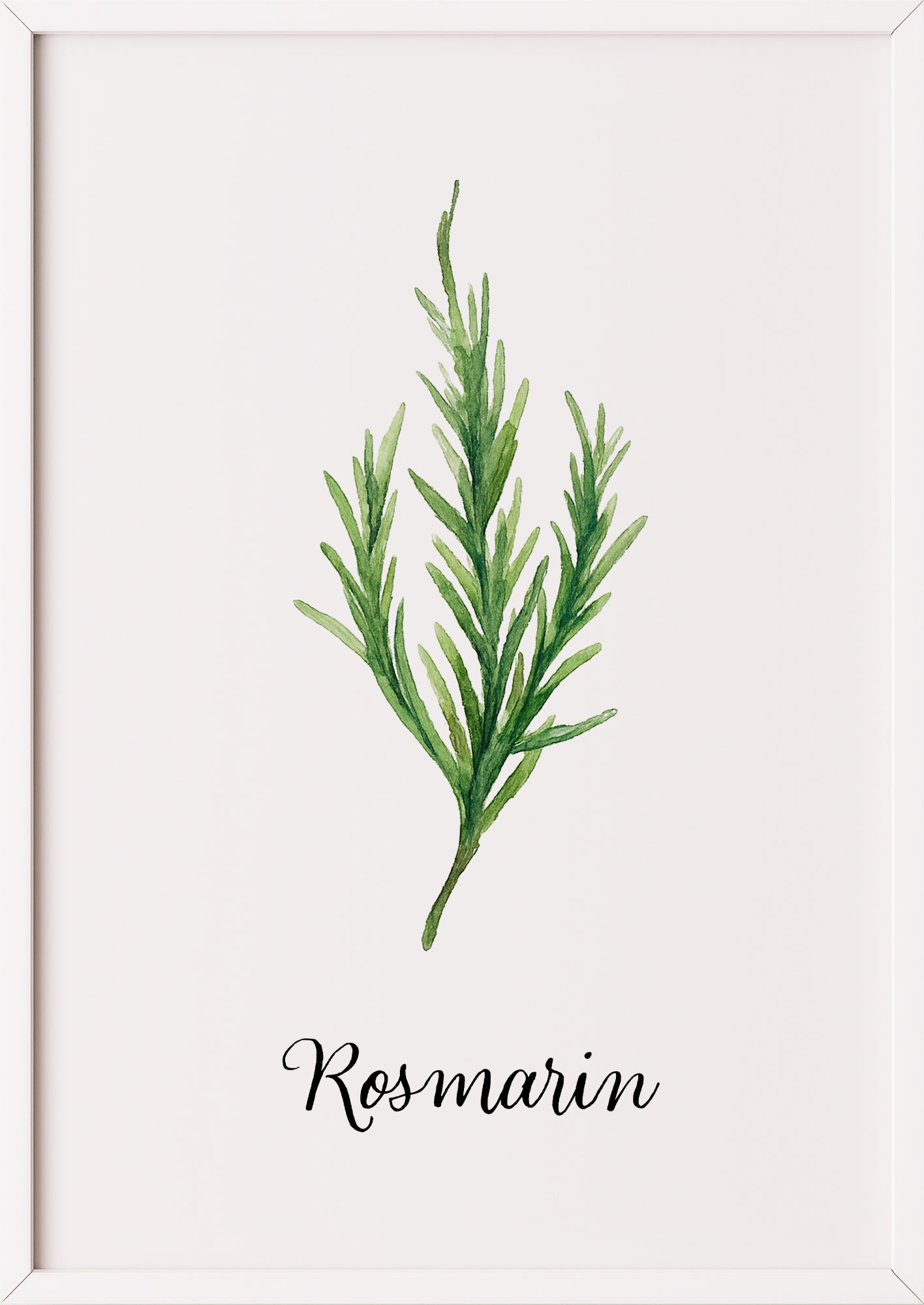 Rosmarin-Aquarell in Weißrahmen auf neutralem Untergrund